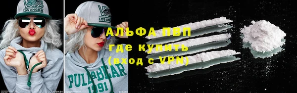 крисы Ельня