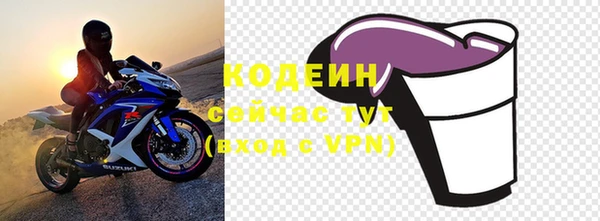 крисы Ельня