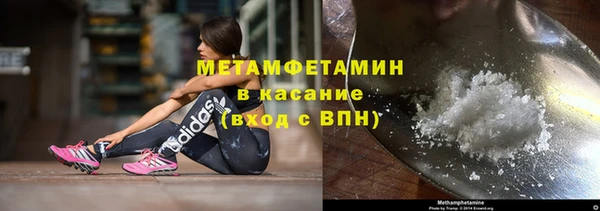 крисы Ельня