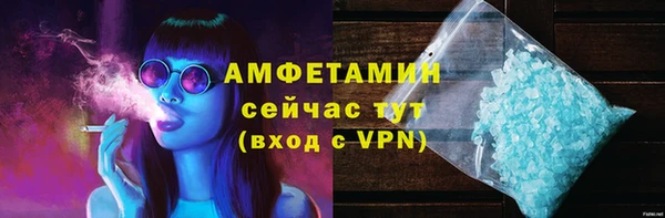 крисы Ельня