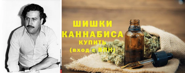 крисы Ельня