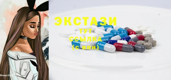 крисы Ельня