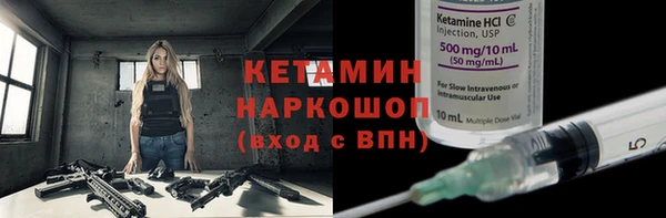 крисы Ельня