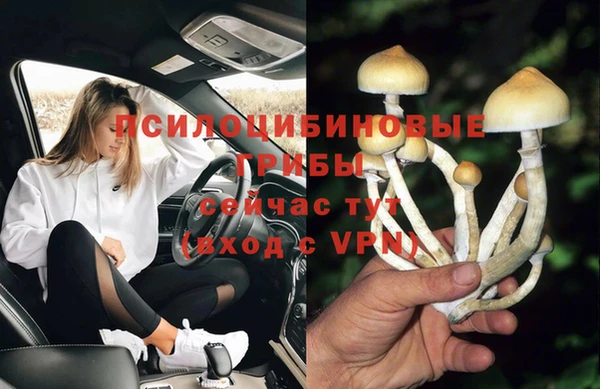 не бодяженный Елизово