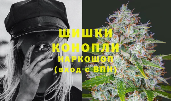 крисы Ельня