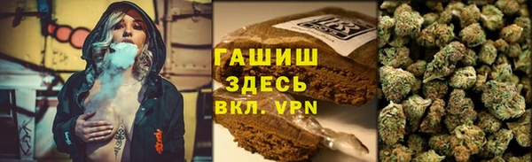 крисы Ельня